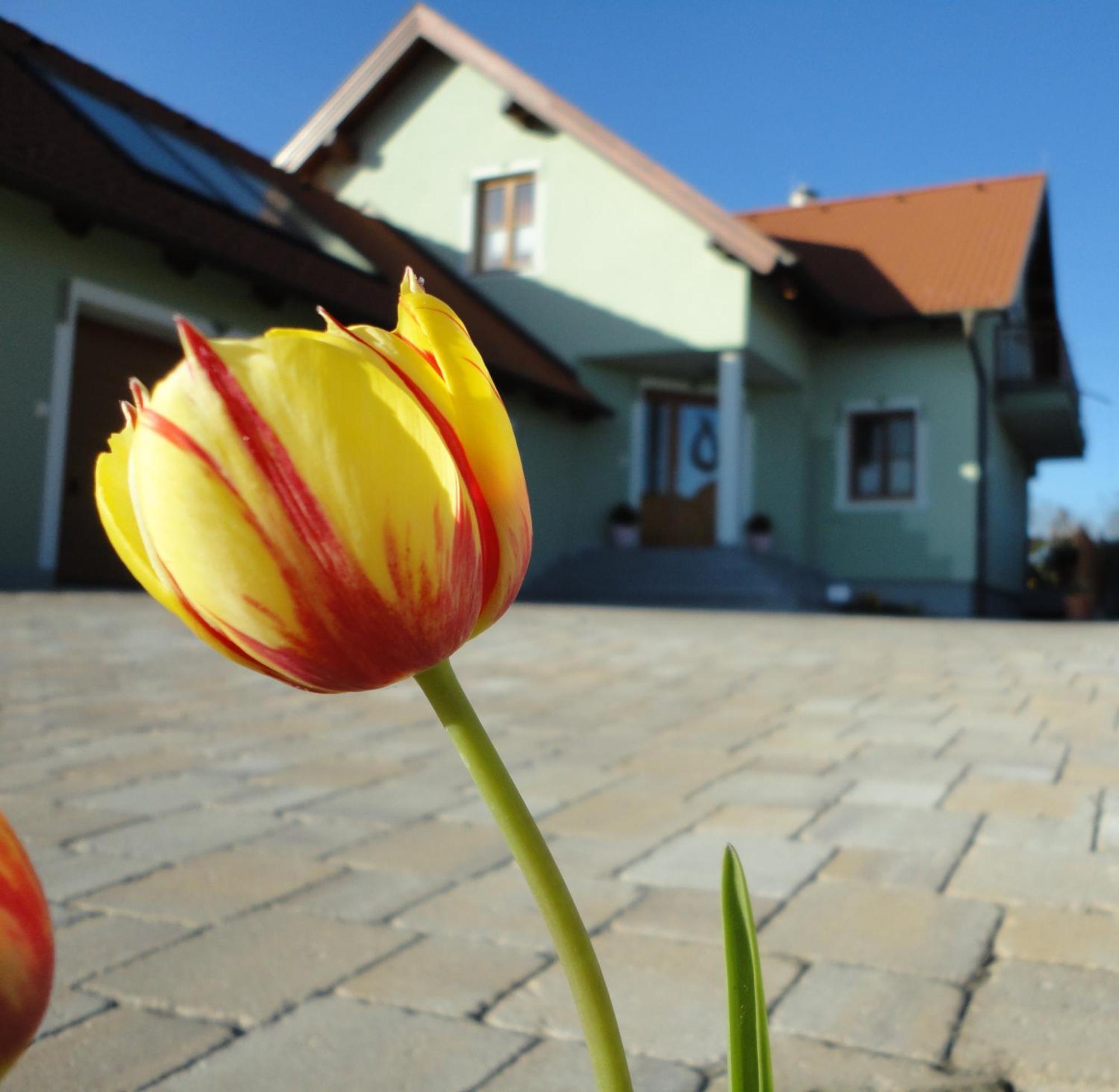 Gaestezimmer Rieder Staatz Exterior foto